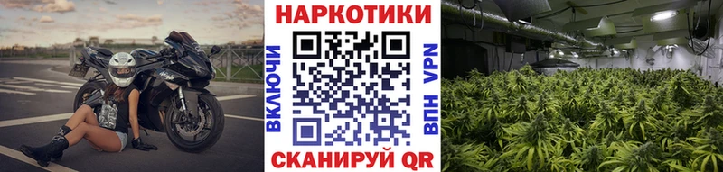 Купить наркотики цена Безенчук KRAKEN рабочий сайт  Мефедрон  Галлюциногенные грибы  ГАШ  Alpha PVP  COCAIN 