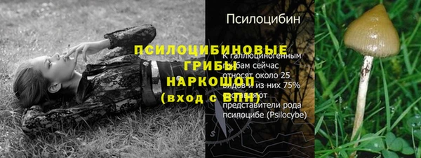 герыч Алексин