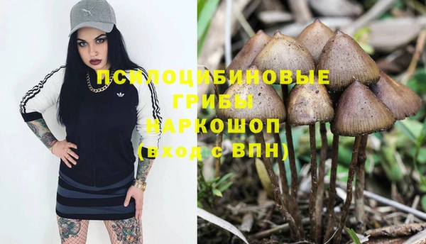 хмурый Алексеевка
