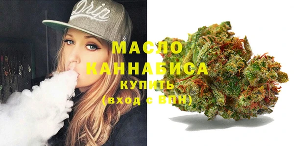 сатива Инта